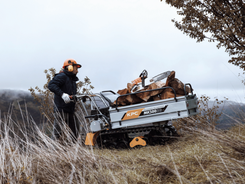 Grand allié dans l’agriculture et le jardinage, ainsi que dans la charge du bois
